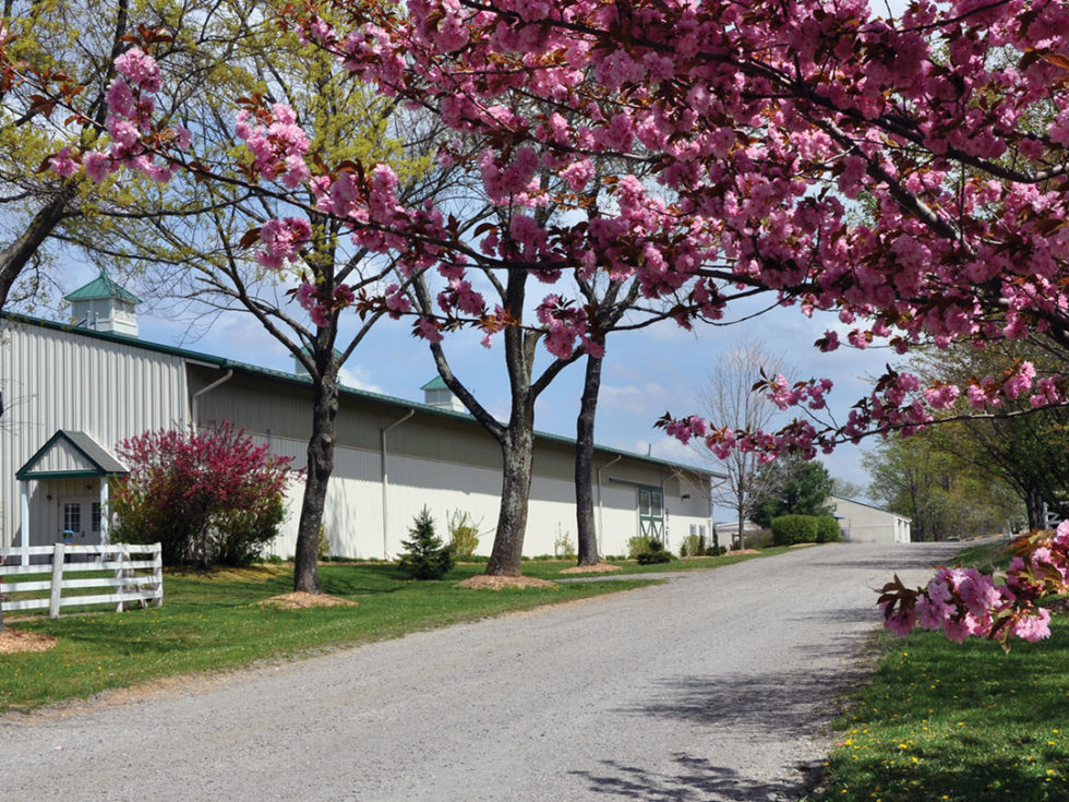 Centenary-Equine-Center-980x735