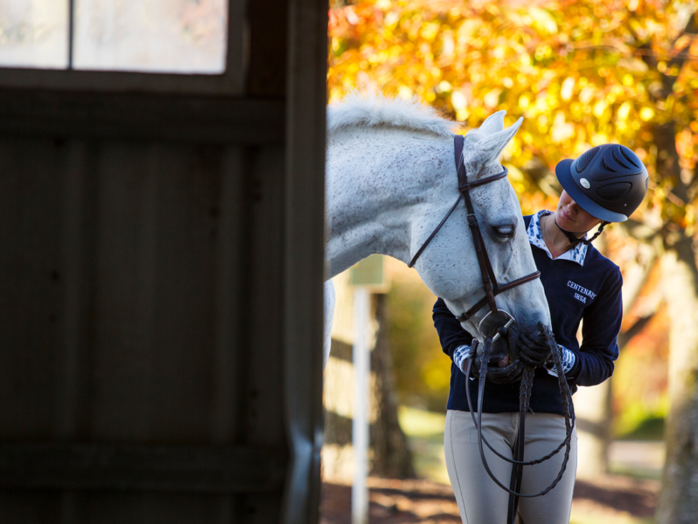 Riding-Placement-980x735