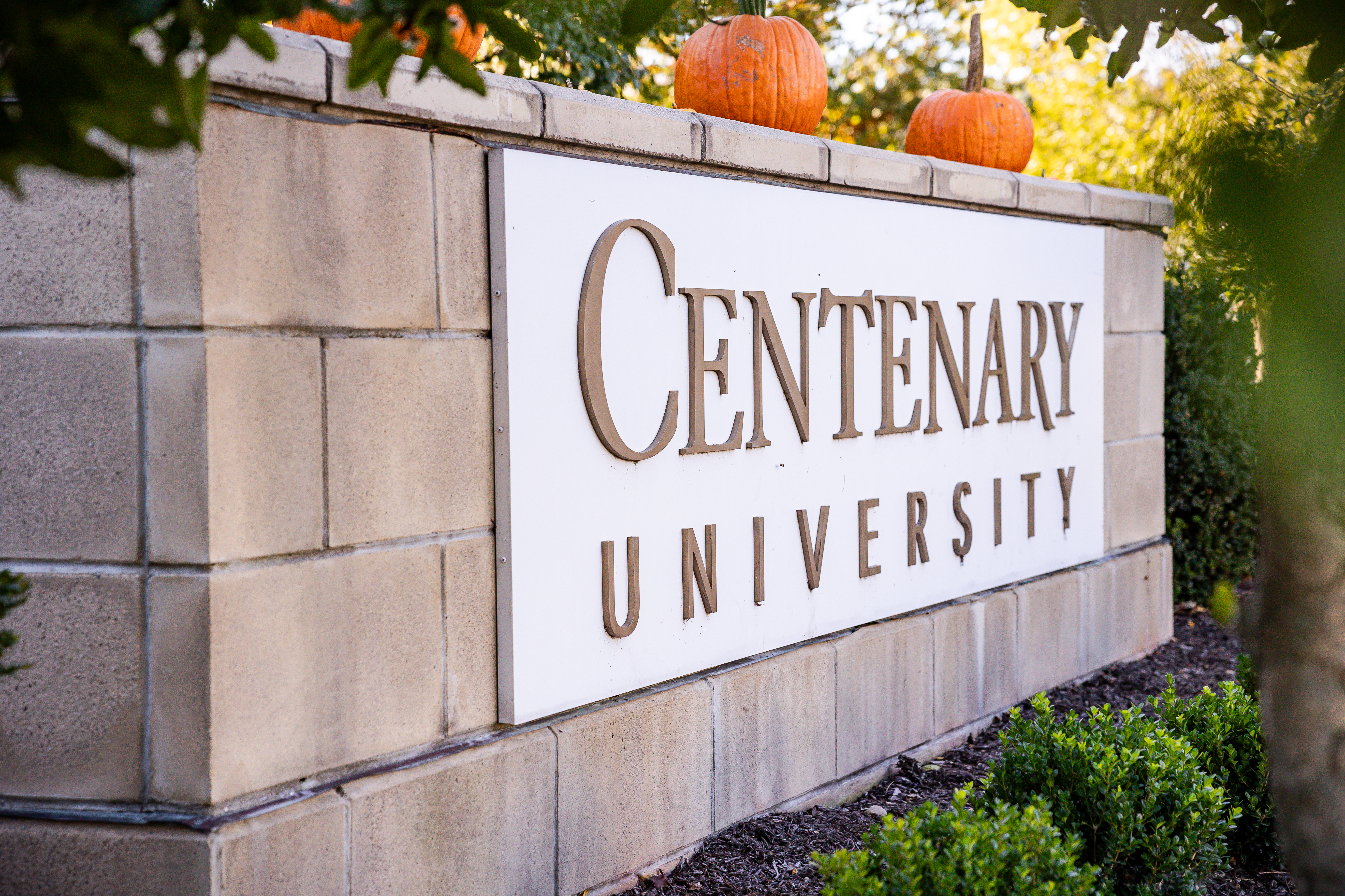 Centenary-University-autumn