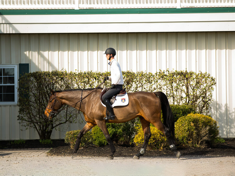 IHSAIntercollegiate-Horse-Show-Association-980x735